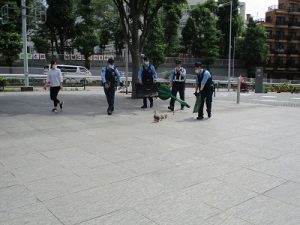 カルガモ親子のお引越し